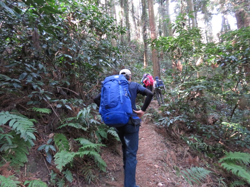官ノ倉山登山