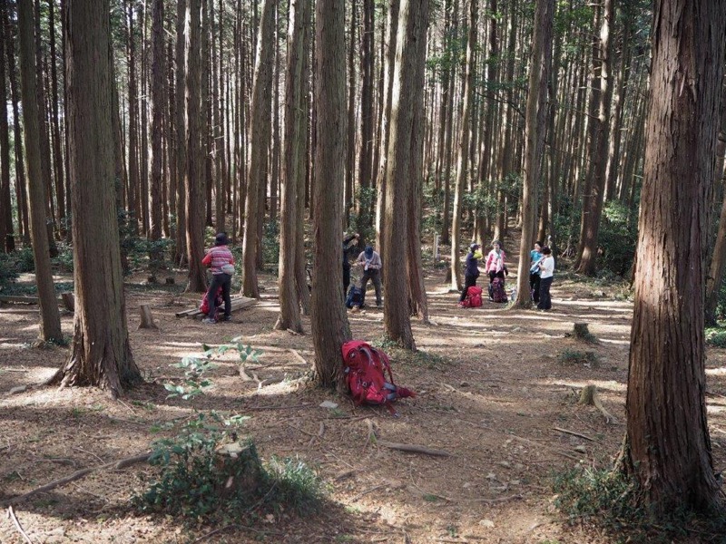 官ノ倉山登山