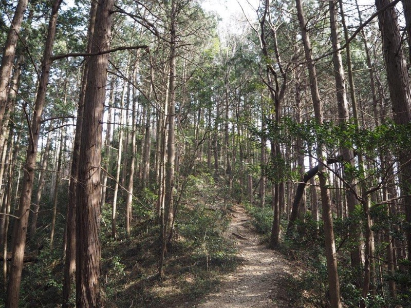 官ノ倉山登山