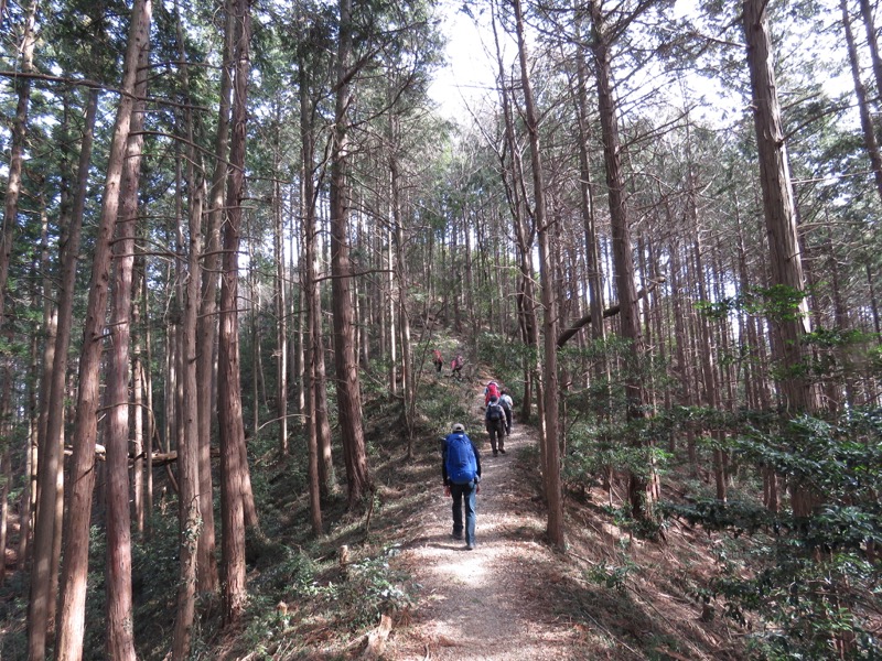 官ノ倉山登山