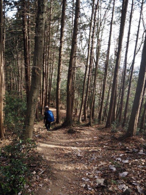 官ノ倉山登山