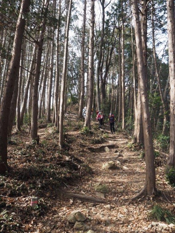 官ノ倉山登山