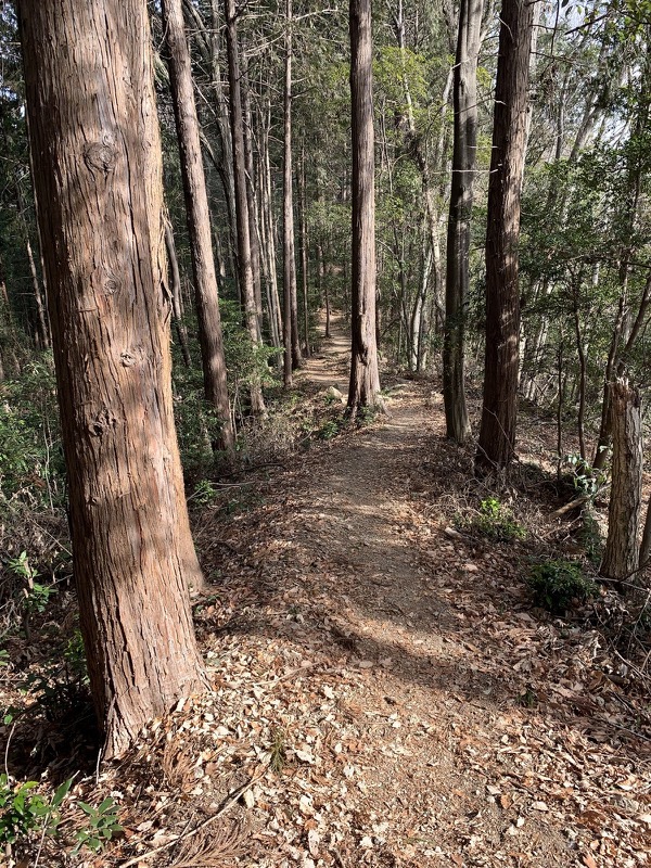 官ノ倉山登山