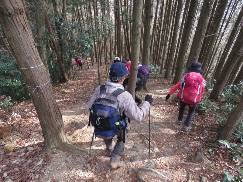 官ノ倉山登山