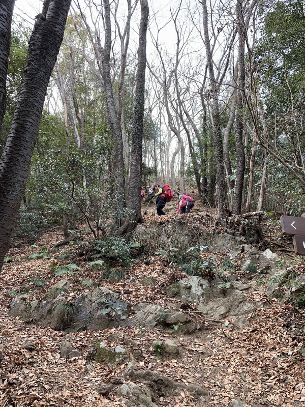 官ノ倉山登山