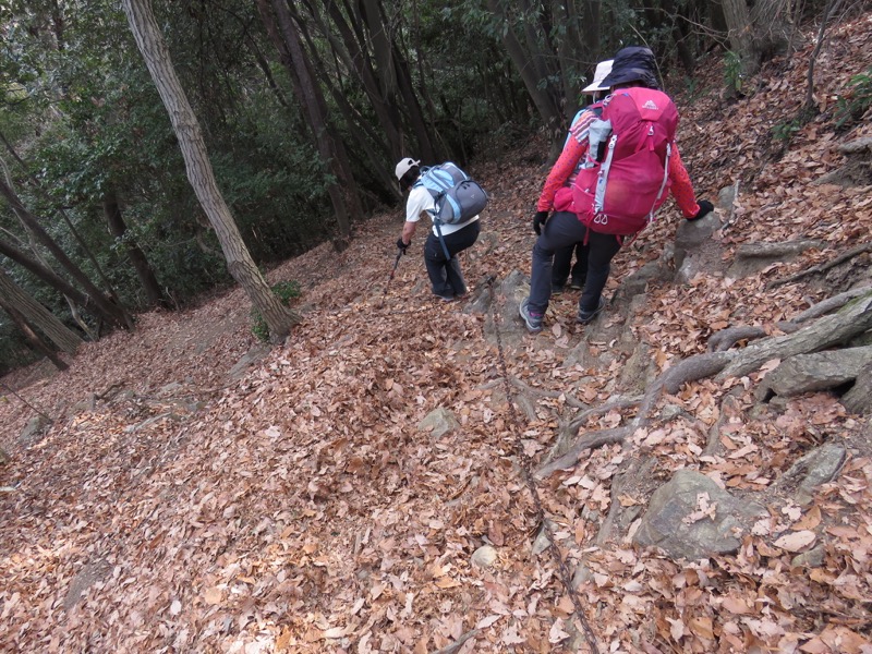 官ノ倉山登山