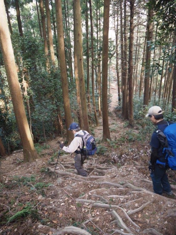 官ノ倉山登山