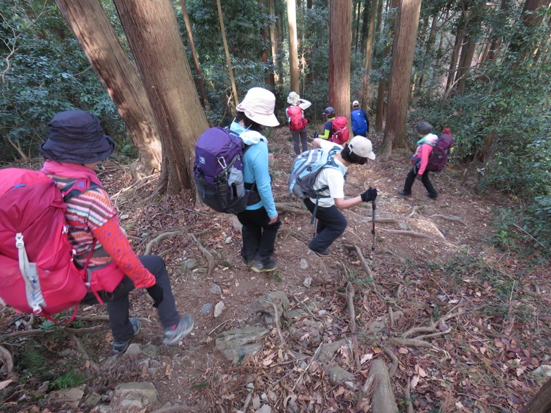 官ノ倉山登山