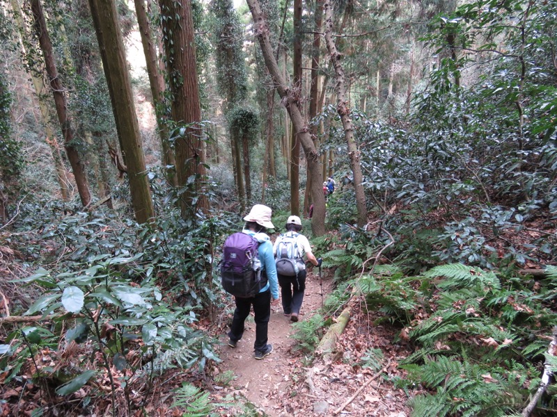 官ノ倉山登山