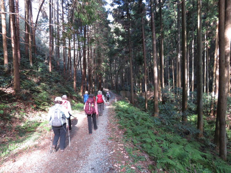 官ノ倉山登山