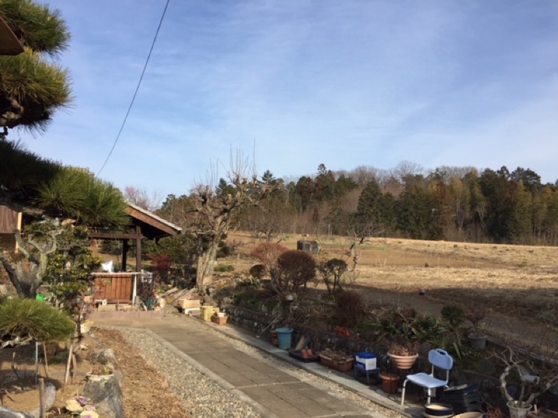 官ノ倉山登山