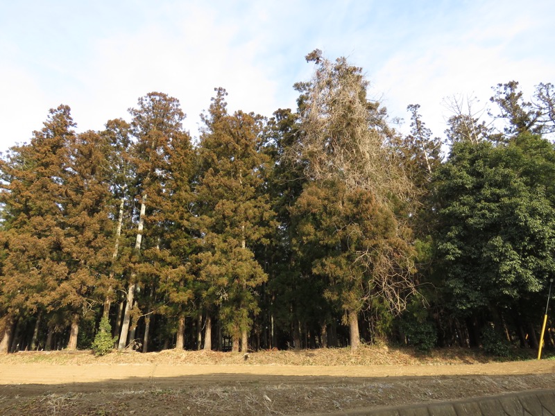 官ノ倉山登山