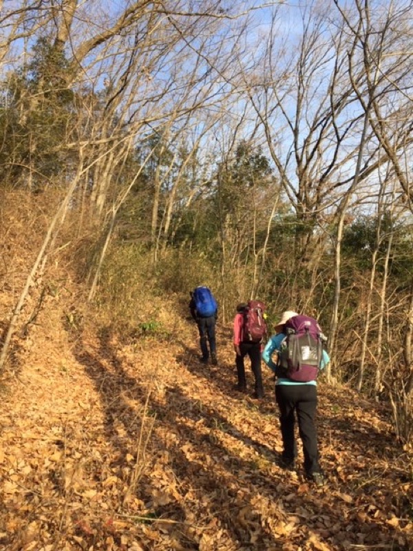 官ノ倉山登山