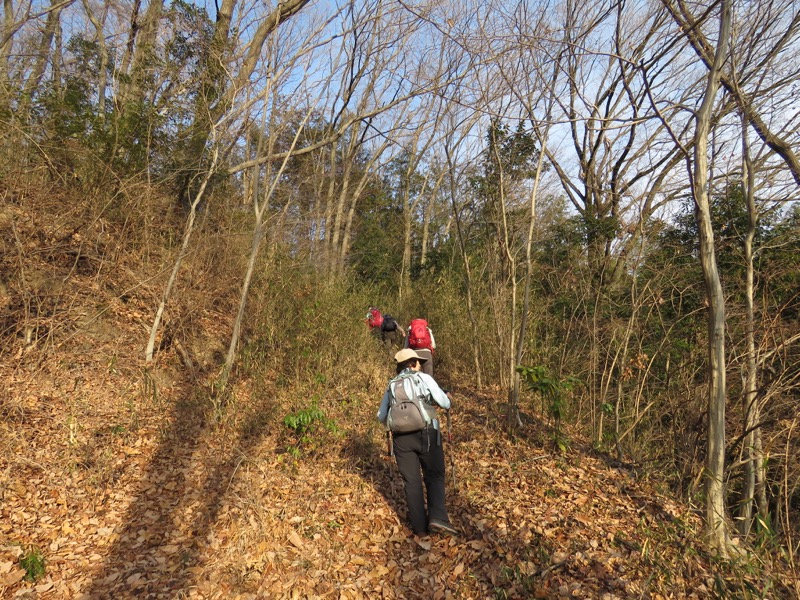 官ノ倉山登山