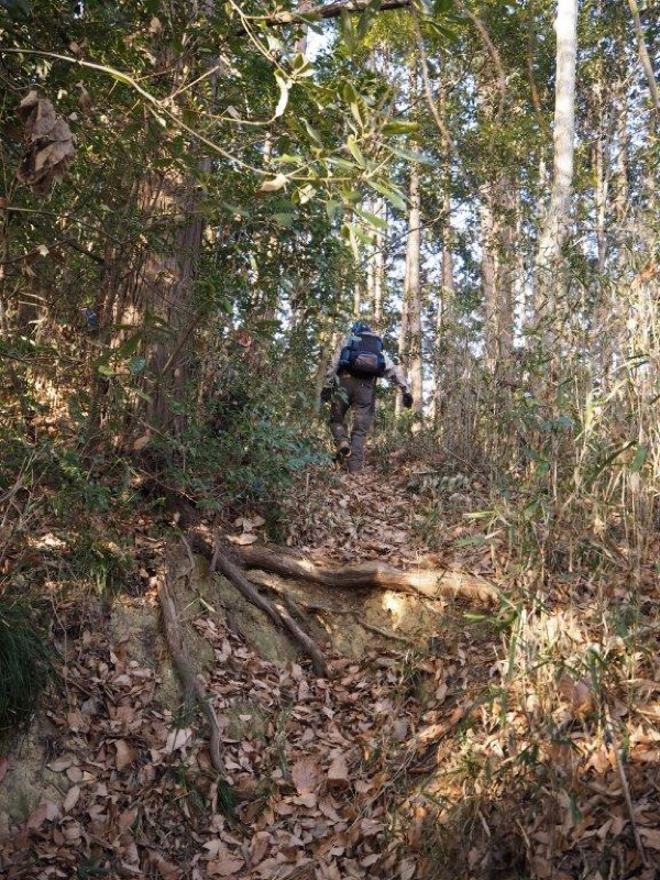 官ノ倉山登山