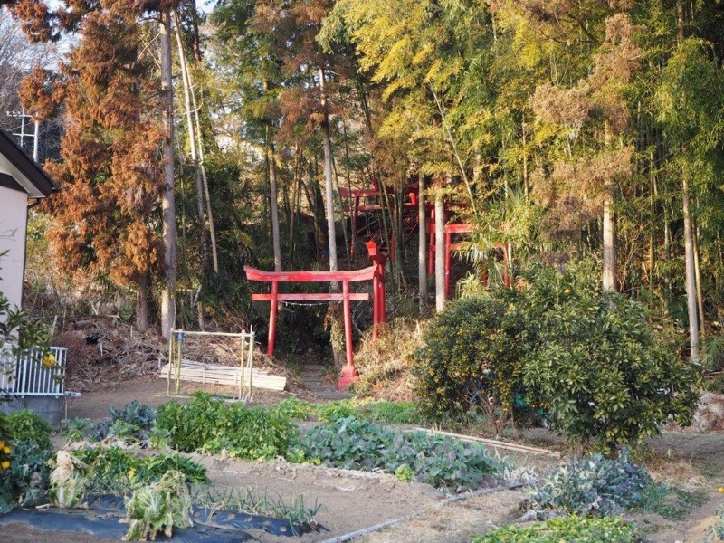 官ノ倉山登山