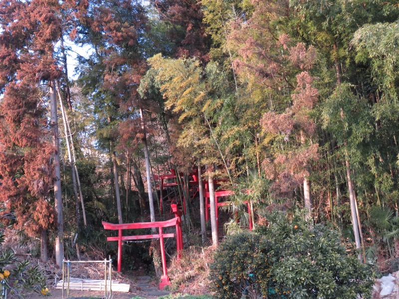 官ノ倉山登山