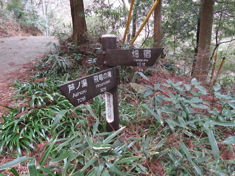 箱根,浅間山,登山