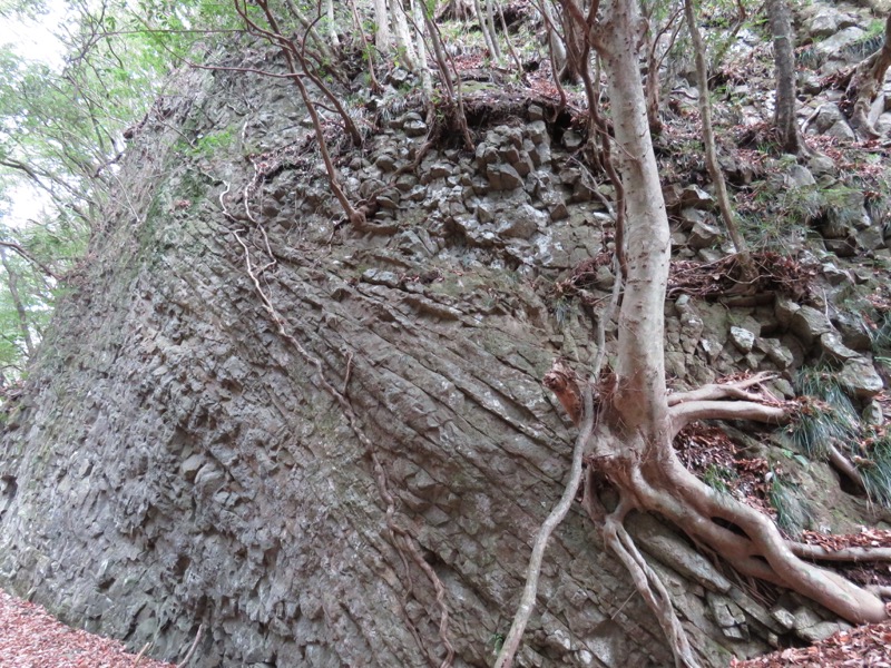 箱根,浅間山,登山