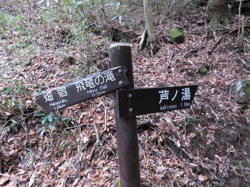 箱根,浅間山,登山