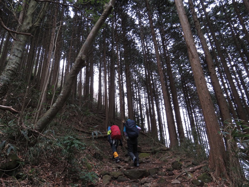 箱根,浅間山,登山