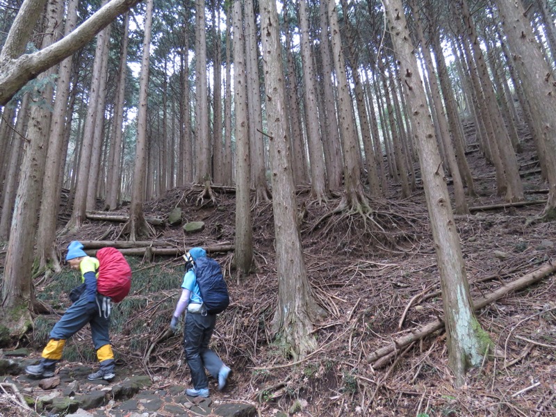 箱根,浅間山,登山