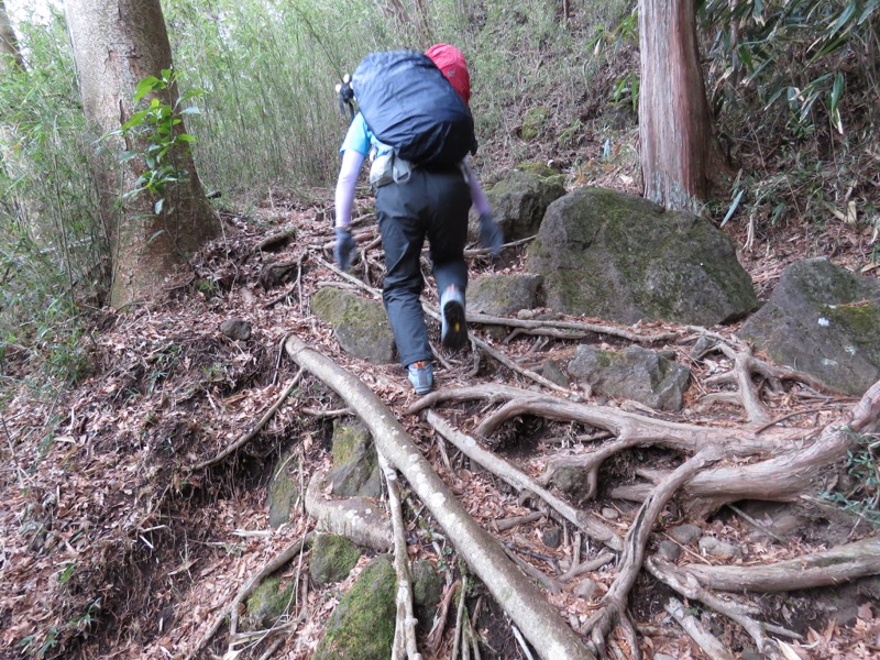 箱根,浅間山,登山