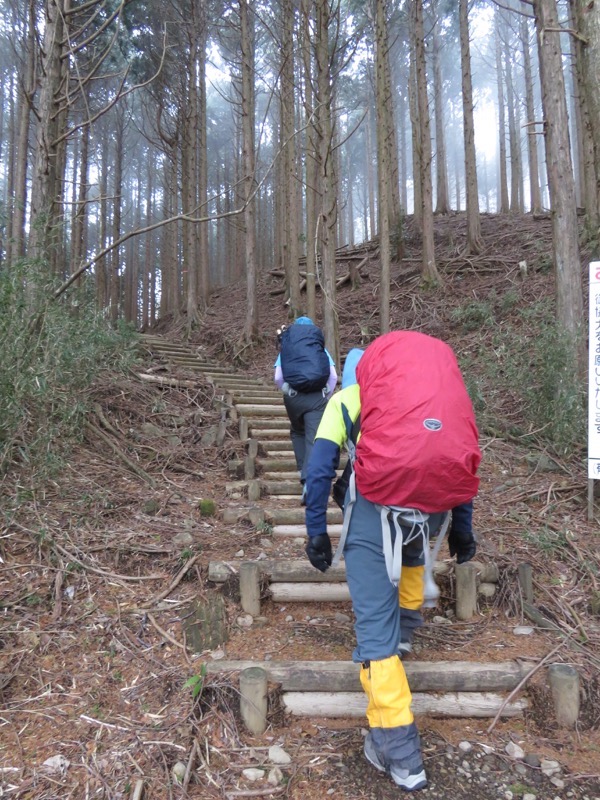 箱根,浅間山,登山