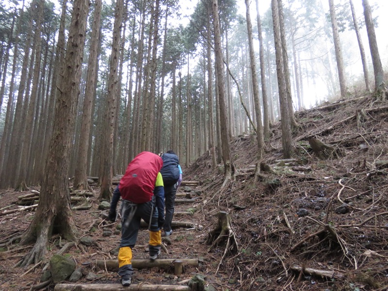 箱根,浅間山,登山