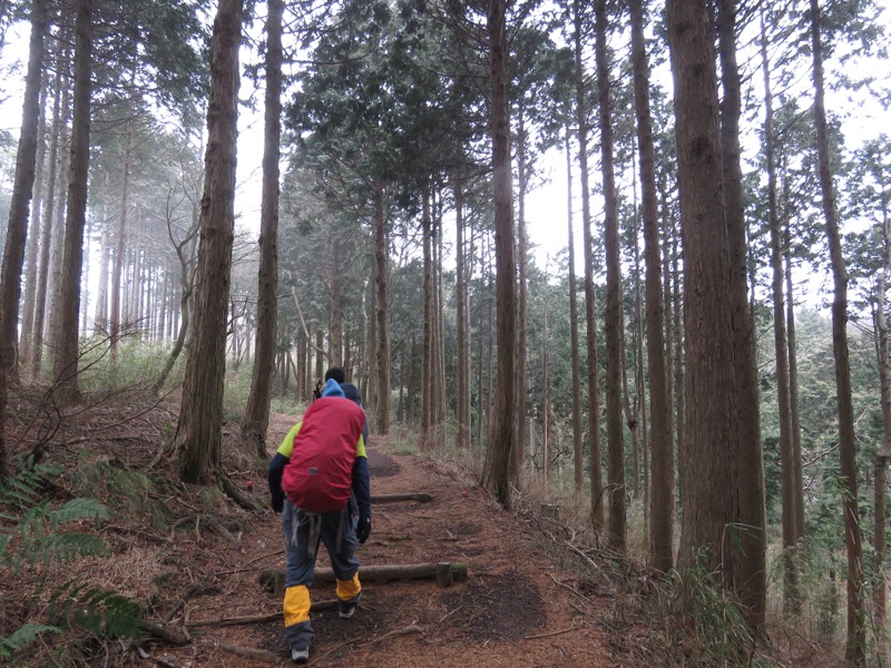 箱根,浅間山,登山