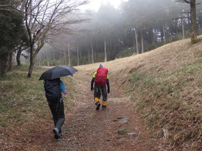 箱根,浅間山,登山