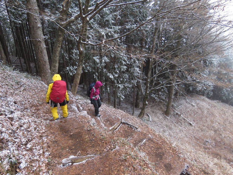 箱根,浅間山,登山