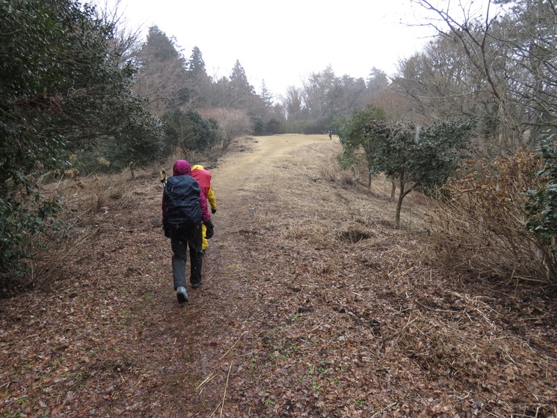 箱根,浅間山,登山