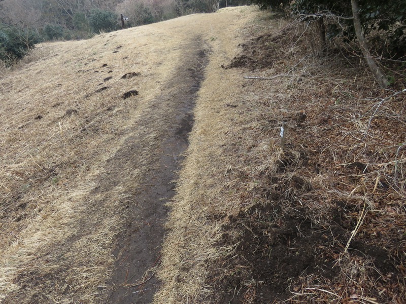 箱根,浅間山,登山