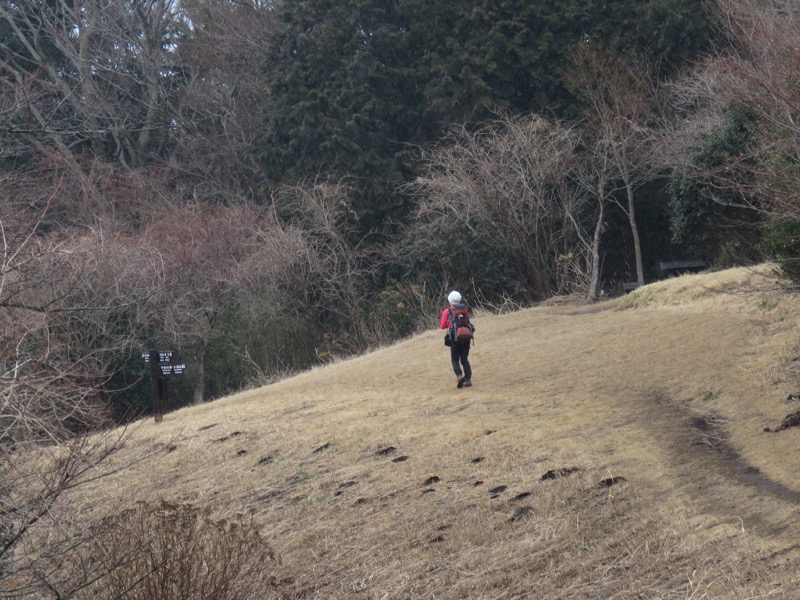 箱根,浅間山,登山