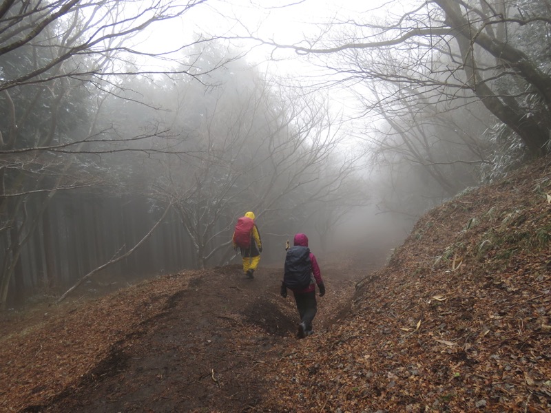 箱根,浅間山,登山