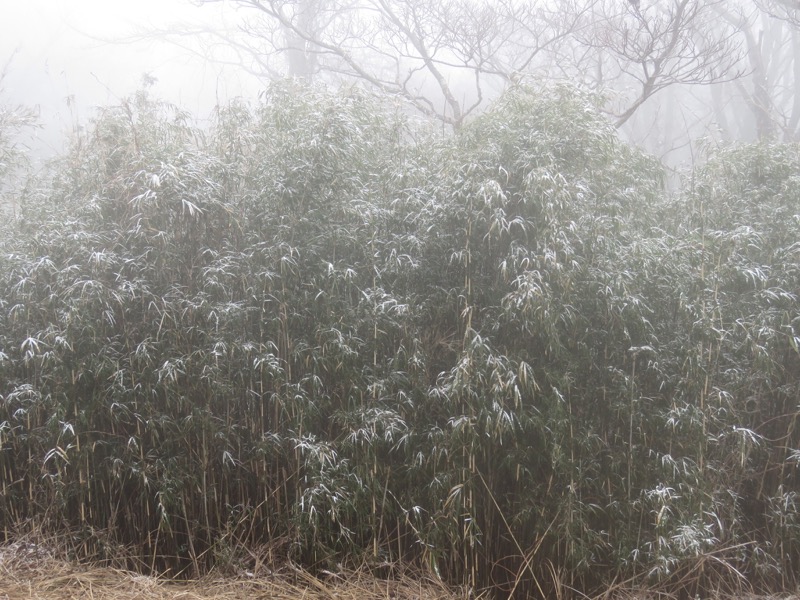 箱根,浅間山,登山