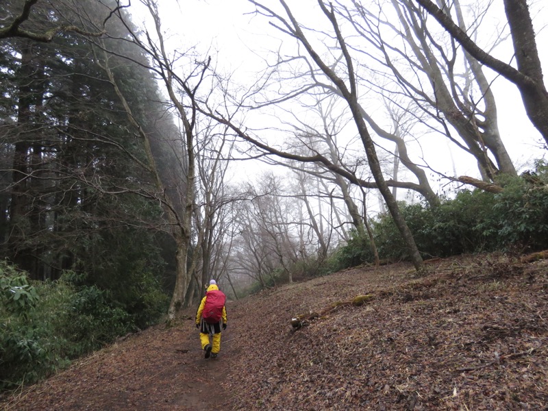 箱根,浅間山,登山