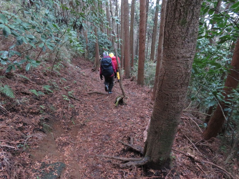 箱根,浅間山,登山