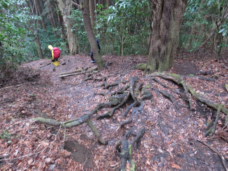 箱根,浅間山,登山