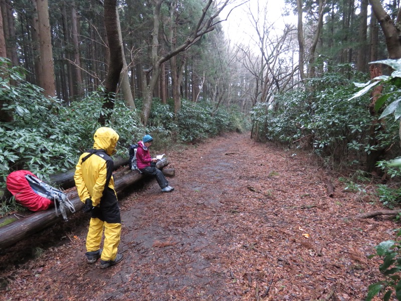 箱根,浅間山,登山