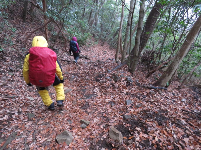 箱根,浅間山,登山