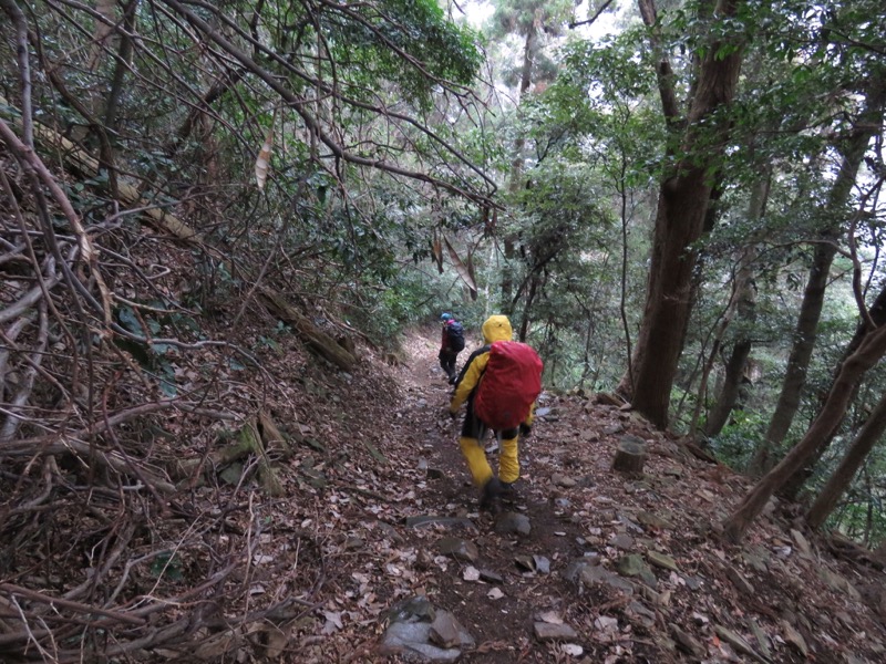 箱根,浅間山,登山