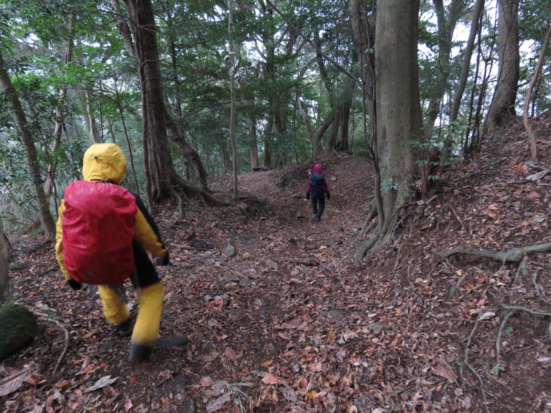 箱根,浅間山,登山