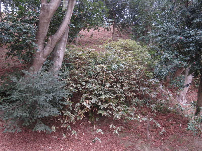 安達太良山登山