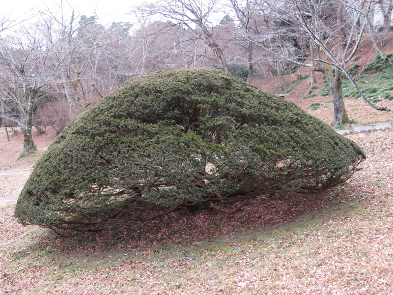 安達太良山登山