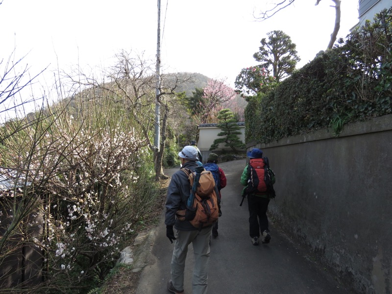 三浦アルプス登山