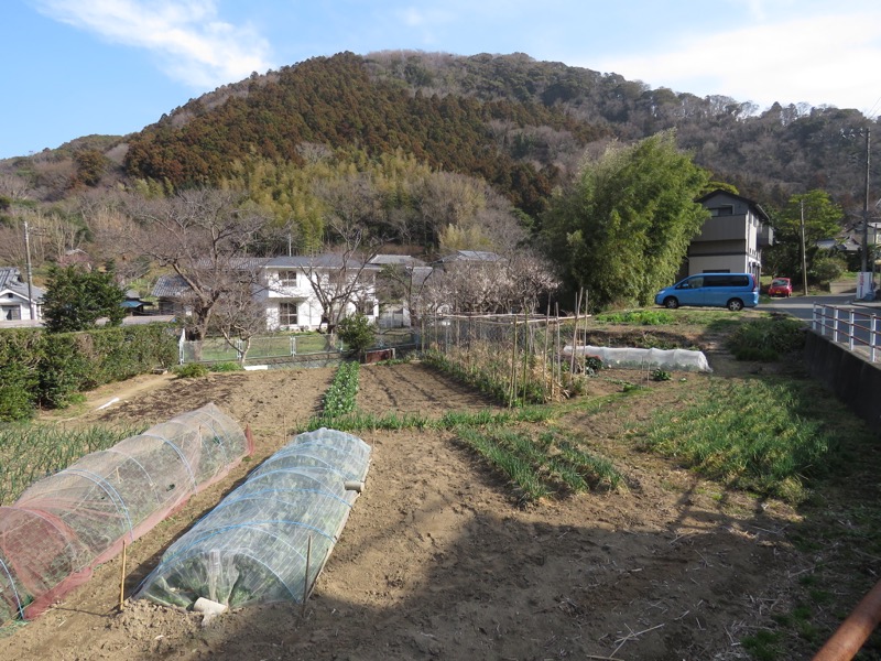 三浦アルプス登山