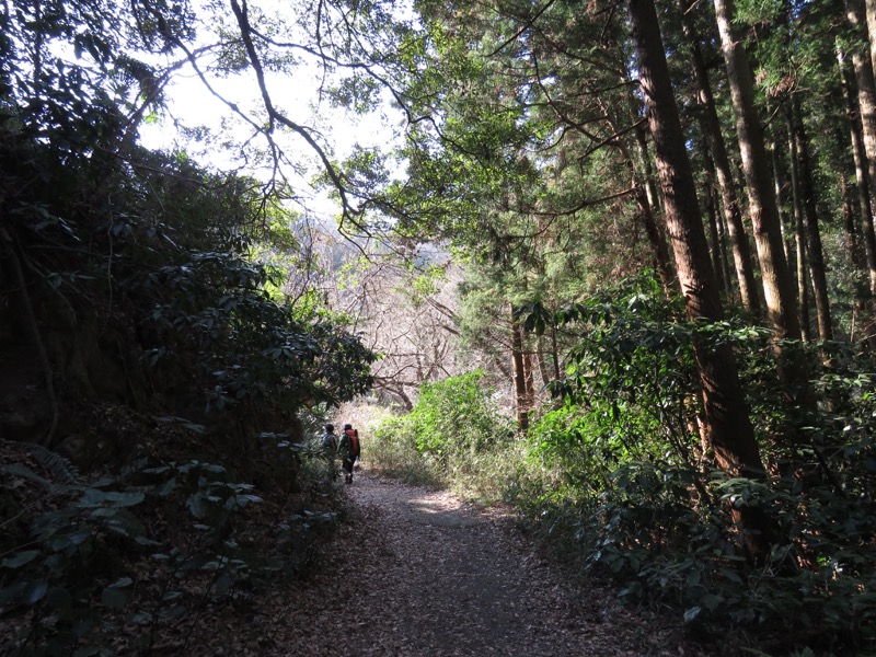 三浦アルプス登山