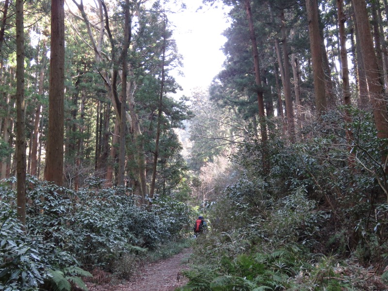 三浦アルプス登山